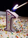 Free One Year Old Stock Photography - 2305672