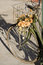 Free Bike And Dried Roses Color Stock Images - 2300514