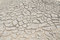Free Crack In The Ground Stock Photo - 23000740