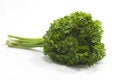 Free Fresh Curvy Parsley Stock Photography - 2310892