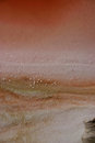 Free Salt Area Stock Photo - 2311900