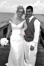 Free Bride Showing Her New Ring Royalty Free Stock Photo - 2312045
