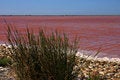 Free Salt Area Royalty Free Stock Photos - 2312578