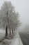 Free Road 2. Watch Out The Road Is Royalty Free Stock Photography - 2310737