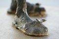 Free Boot Stock Photo - 2321420