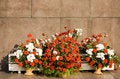 Free Marble Monument Stock Photos - 2324903