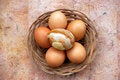 Free Basket With Eggs Stock Photos - 2327833