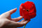 Free Beautiful Red Tulip Royalty Free Stock Image - 2328376
