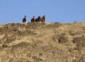 Free Wild Horses On Ridgeline Stock Images - 2338204