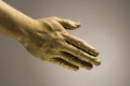 Free Gilded Hand Stock Photos - 2343173