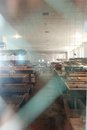 Free Inside The Fish Hatchery Royalty Free Stock Photos - 2345538