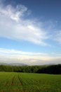 Free Clues On The Crop Stock Photos - 2347233