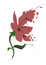 Free Flower Royalty Free Stock Photos - 2348588