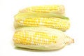 Free 3 Ears Of Corn Royalty Free Stock Photography - 2350137