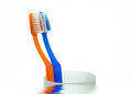 Free Tooth Brushes On Cup Royalty Free Stock Image - 2351006