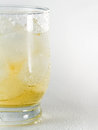 Free Freshness Juice Stock Photography - 2352422