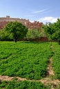 Free Ait Ben Haddou Royalty Free Stock Images - 2358599