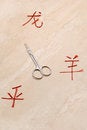 Free Concept With Chinese Symbols Royalty Free Stock Photography - 2360067