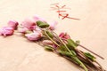 Free Love Concept With Anemones Stock Photos - 2360103
