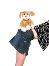 Free Soft Toy Dog And Girl Royalty Free Stock Image - 2364146