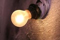 Free Textures Bulb Stock Image - 2369051