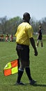 Free Soccer Linesman With Flag Royalty Free Stock Image - 2373656