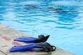 Free Swim Fins Stock Photo - 2375700