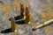 Free Bullets Royalty Free Stock Photo - 2375475
