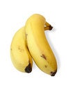 Free Bananas Stock Image - 2383091