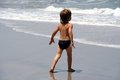 Free Playing In The Sea Stock Photo - 2386010