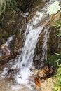Free Water In The Garden Royalty Free Stock Image - 2386066