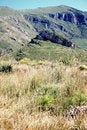 Free Sping-blooming Fields & Mount Royalty Free Stock Image - 2387786