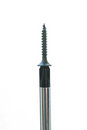Free Screwdriver With A Screw Stock Image - 2392431