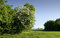 Free Nature Royalty Free Stock Image - 2397206