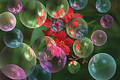 Free Colorful Bubbles Stock Image - 240041