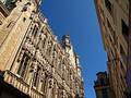 Free Brussels Town Hall Royalty Free Stock Image - 246546