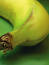 Free Banana1 Royalty Free Stock Photography - 249647