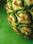 Free Pineapple 3 Stock Photo - 249760