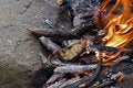 Free Fire, Flames Close Up Stock Image - 2400521