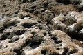 Free Sea Stone Royalty Free Stock Images - 2403859