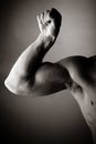Free Bodybuilding Stock Images - 2403934