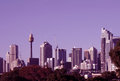 Free Sydney Skyline In Magenta Stock Images - 2409234