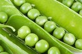 Free Peas_02 Stock Photo - 2411710