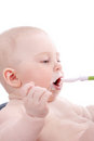 Free Feed Royalty Free Stock Photos - 2412348