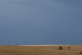 Free Serengeti Plains Stock Photo - 2413480