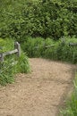 Free Hiking Trail Royalty Free Stock Images - 2415059