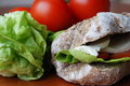 Free Sandwich Stock Photo - 2415520