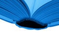 Free Open Book Royalty Free Stock Photography - 2420437
