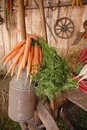 Free Old Canister With Carrots On T Stock Photo - 2424210