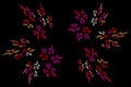 Free Floral Explosion2 Stock Image - 2433501